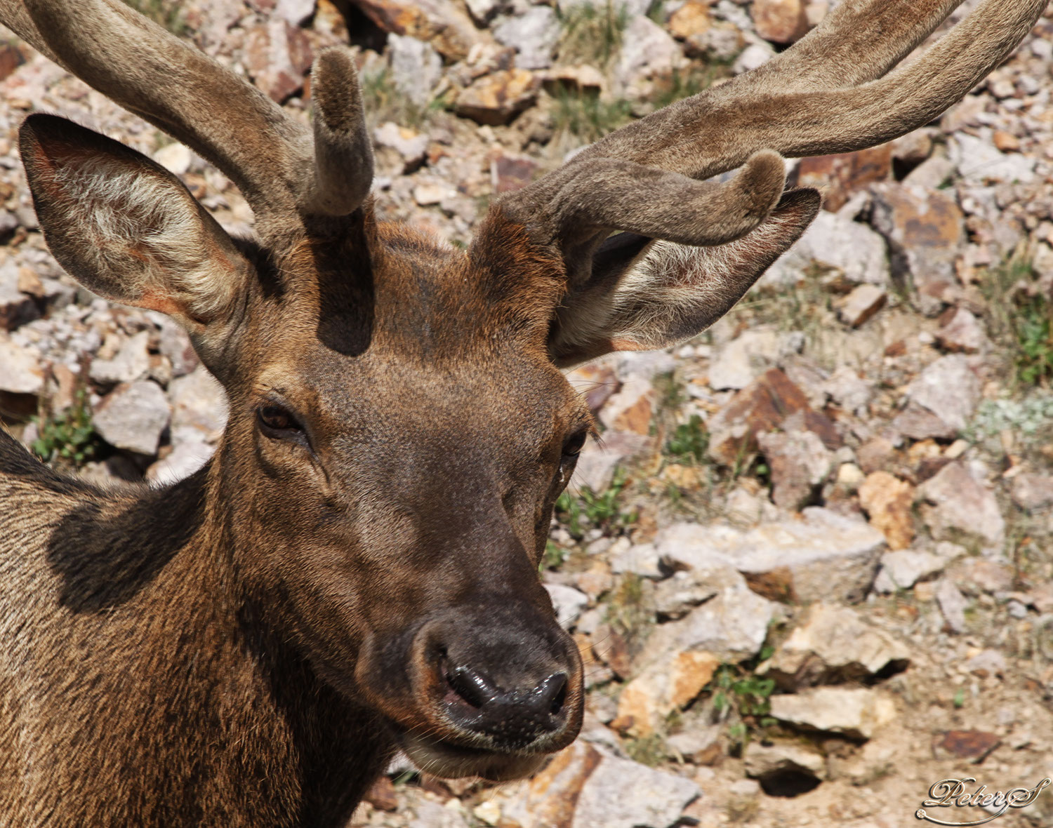 %_tempFileNameIMG_1449%