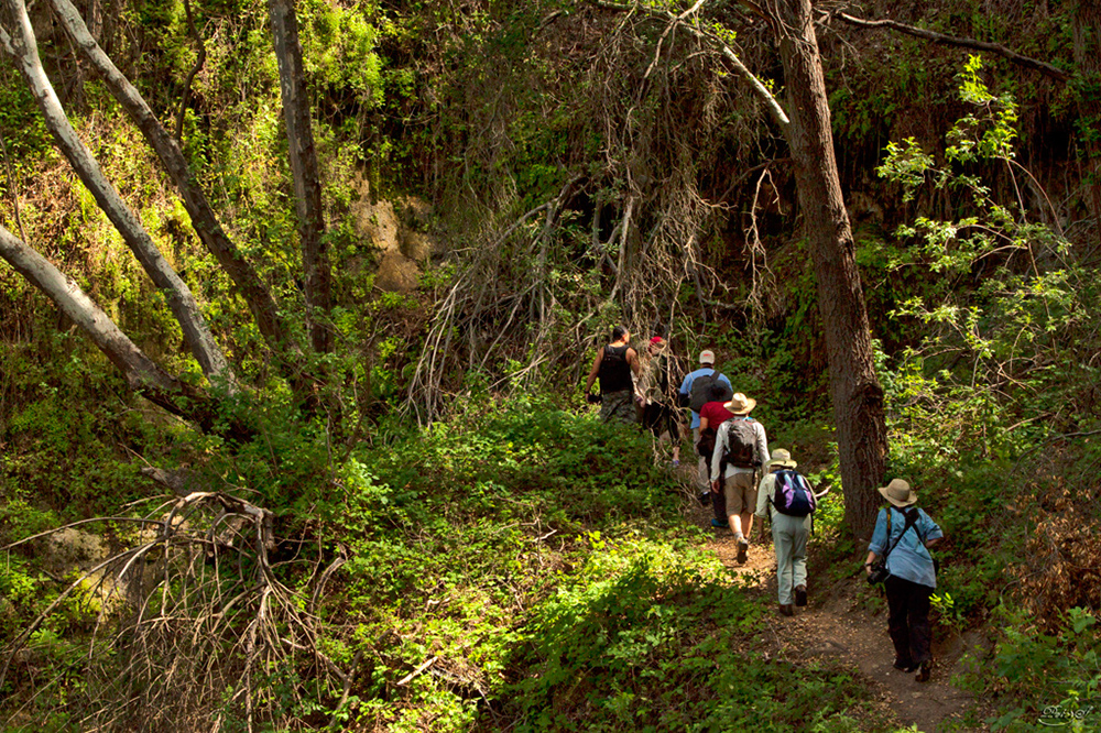 %_tempFileNameIMG_9268%