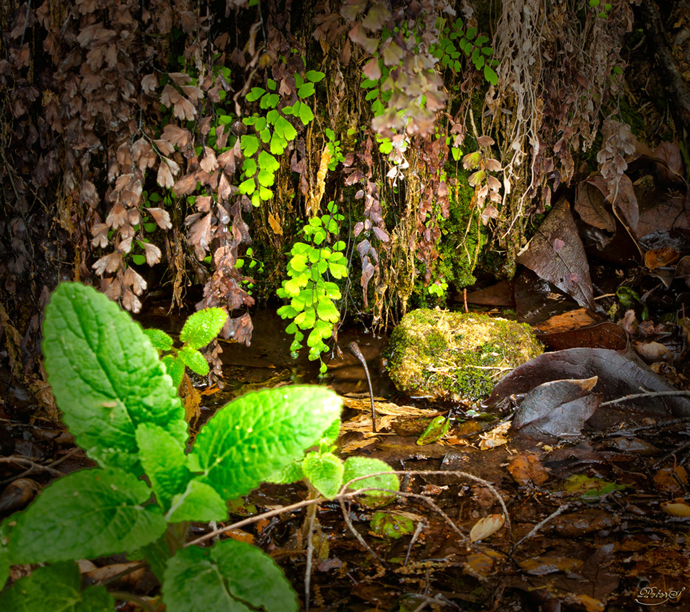 %_tempFileNameIMG_9273%