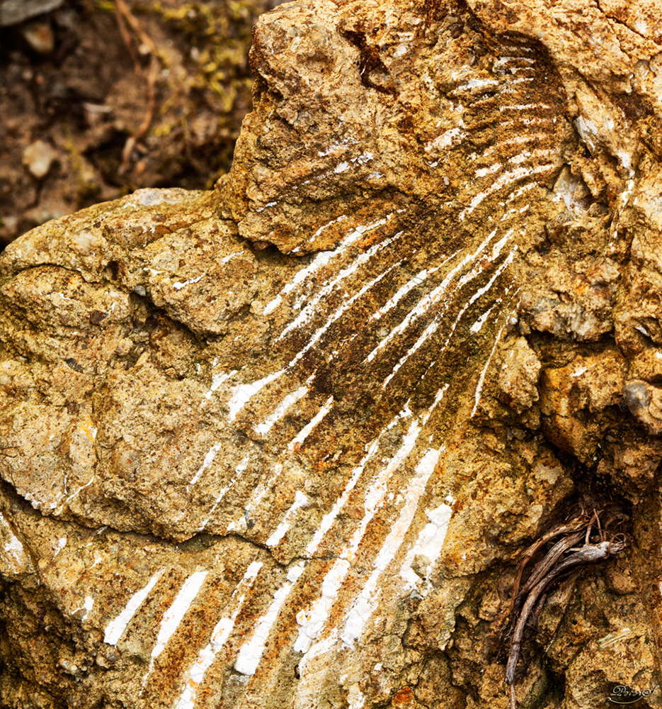 %_tempFileNameIMG_9274%