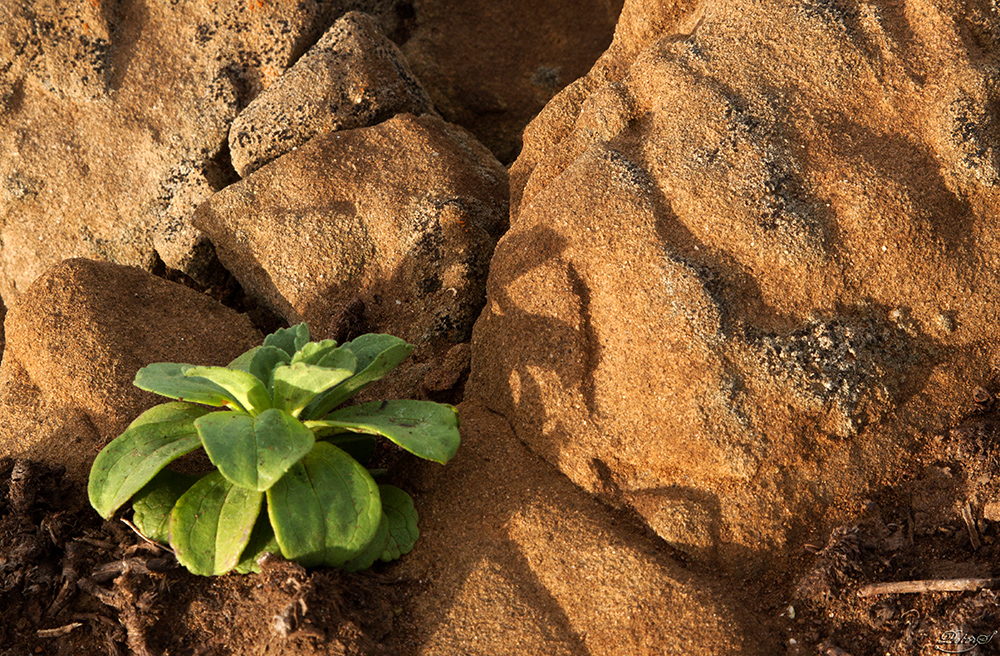 %_tempFileNameIMG_8871%