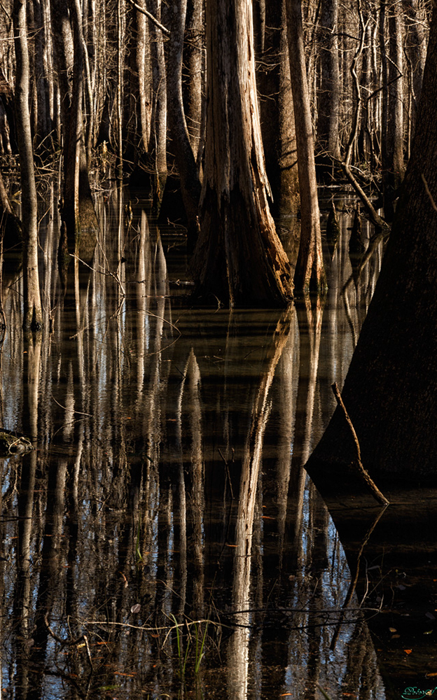 %_tempFileNameIMG_6868%