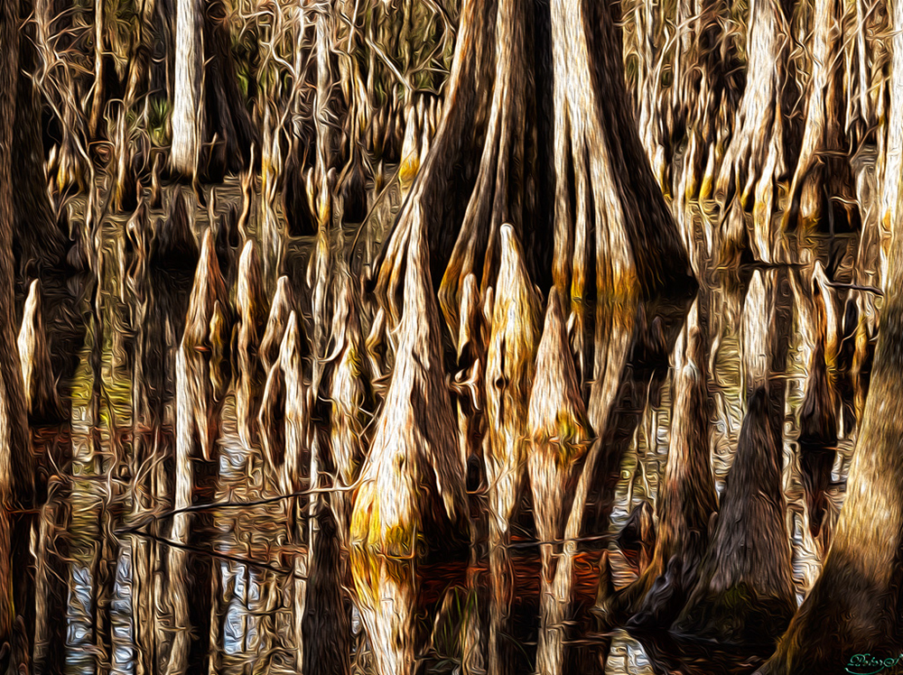 %_tempFileNameIMG_6877%