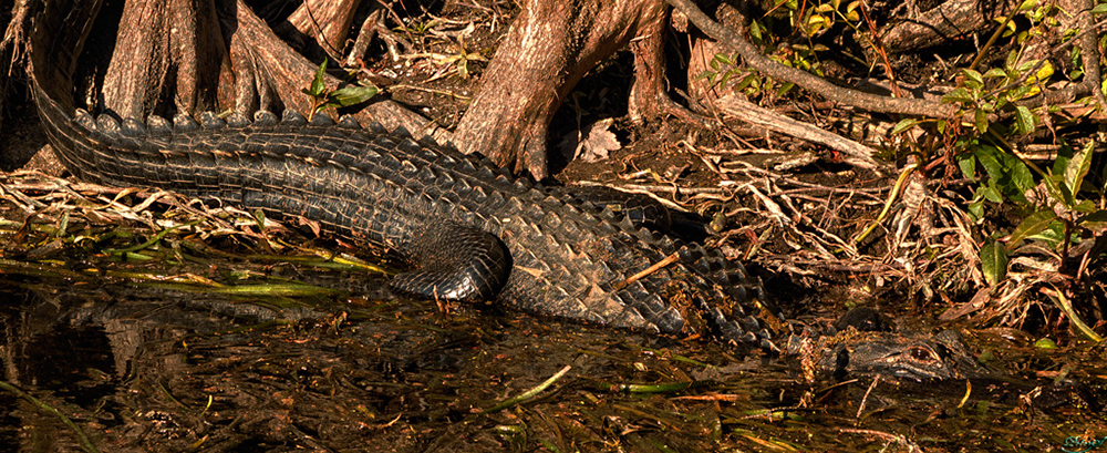 %_tempFileNameIMG_6891%