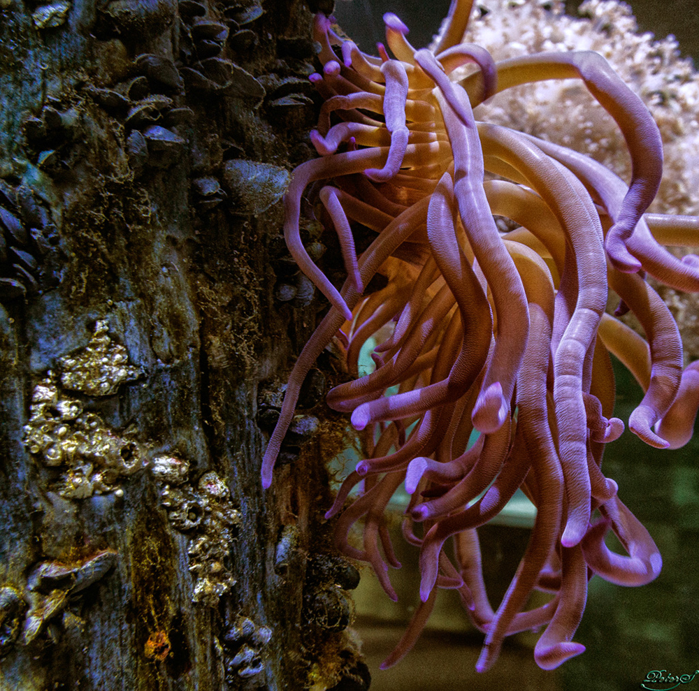 %_tempFileNameIMG_6907%