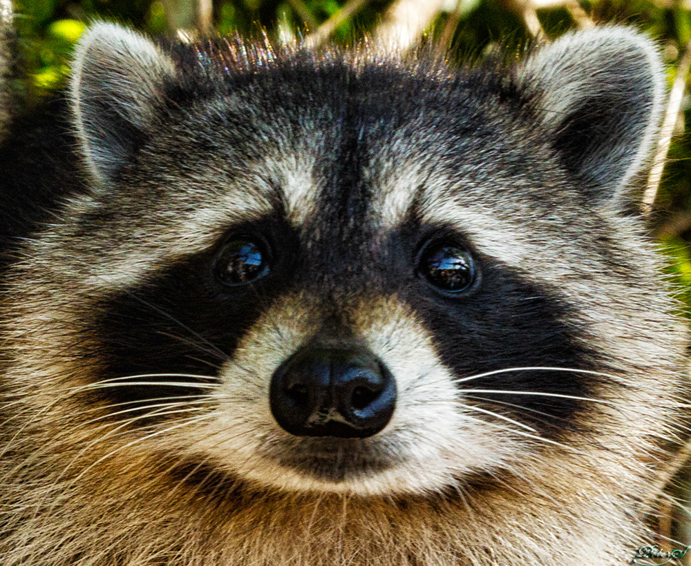 %_tempFileNameIMG_6946%