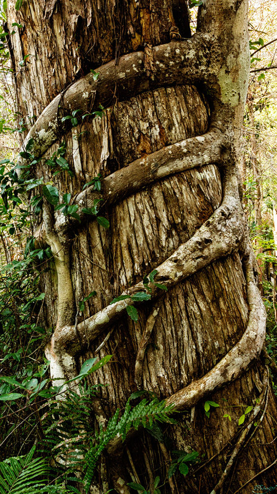 %_tempFileNameIMG_6953%