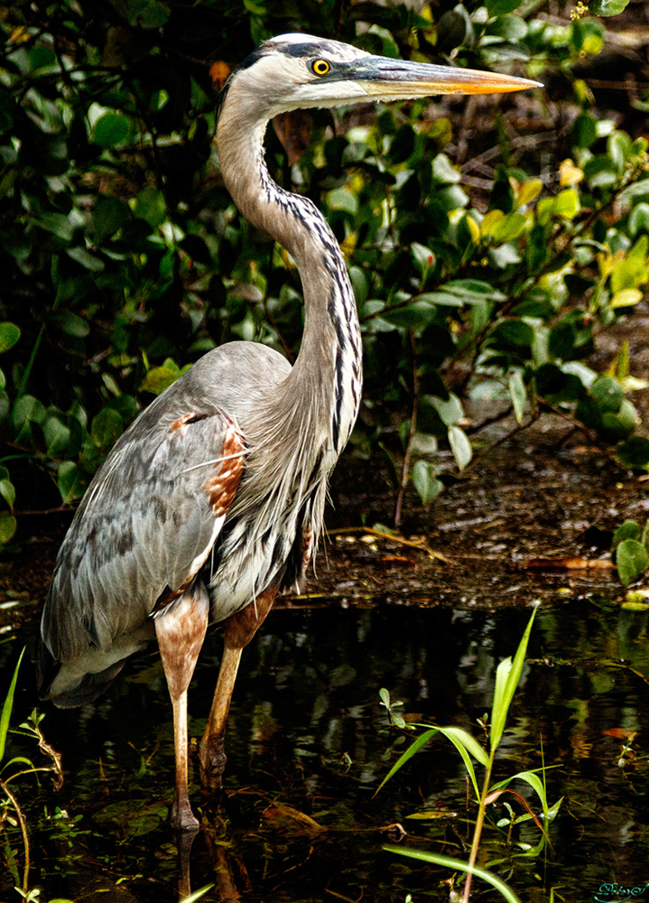 %_tempFileNameIMG_6987%