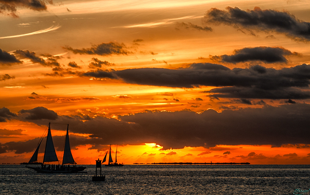 %_tempFileNameIMG_7018%