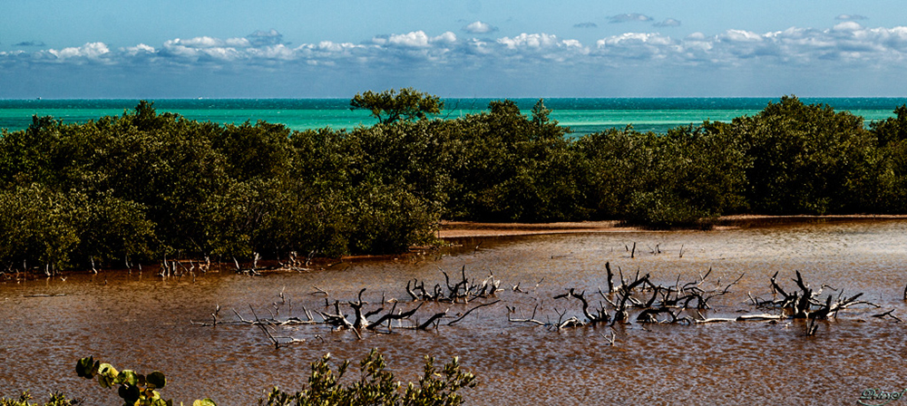 %_tempFileNameIMG_7023%