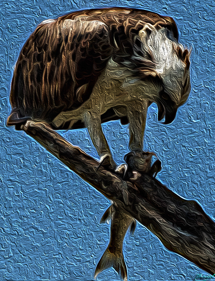 %_tempFileNameIMG_7038%