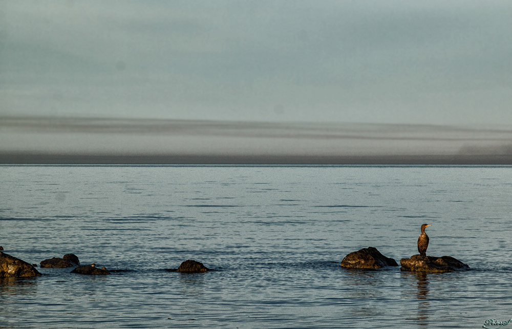 %_tempFileNameIMG_7054%