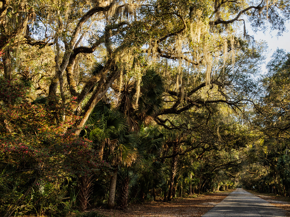 %_tempFileNameIMG_7123%