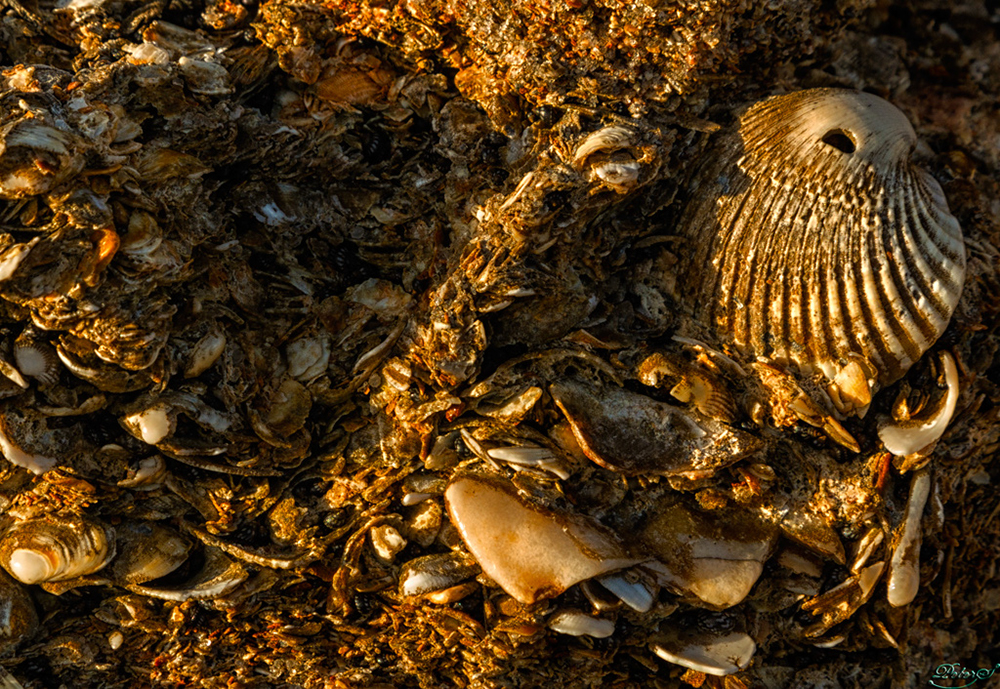 %_tempFileNameIMG_7141%