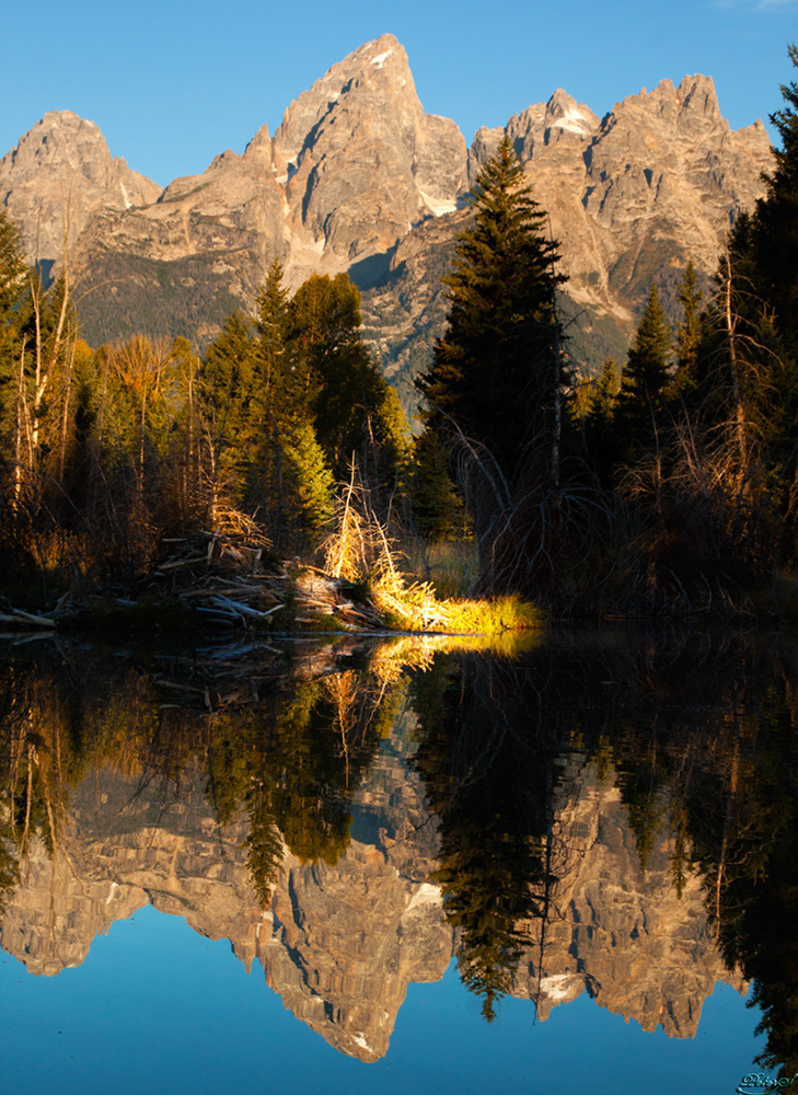 %_tempFileNameIMG_1045%