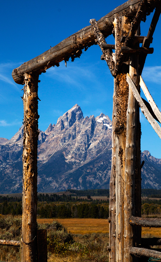 %_tempFileNameIMG_1054%