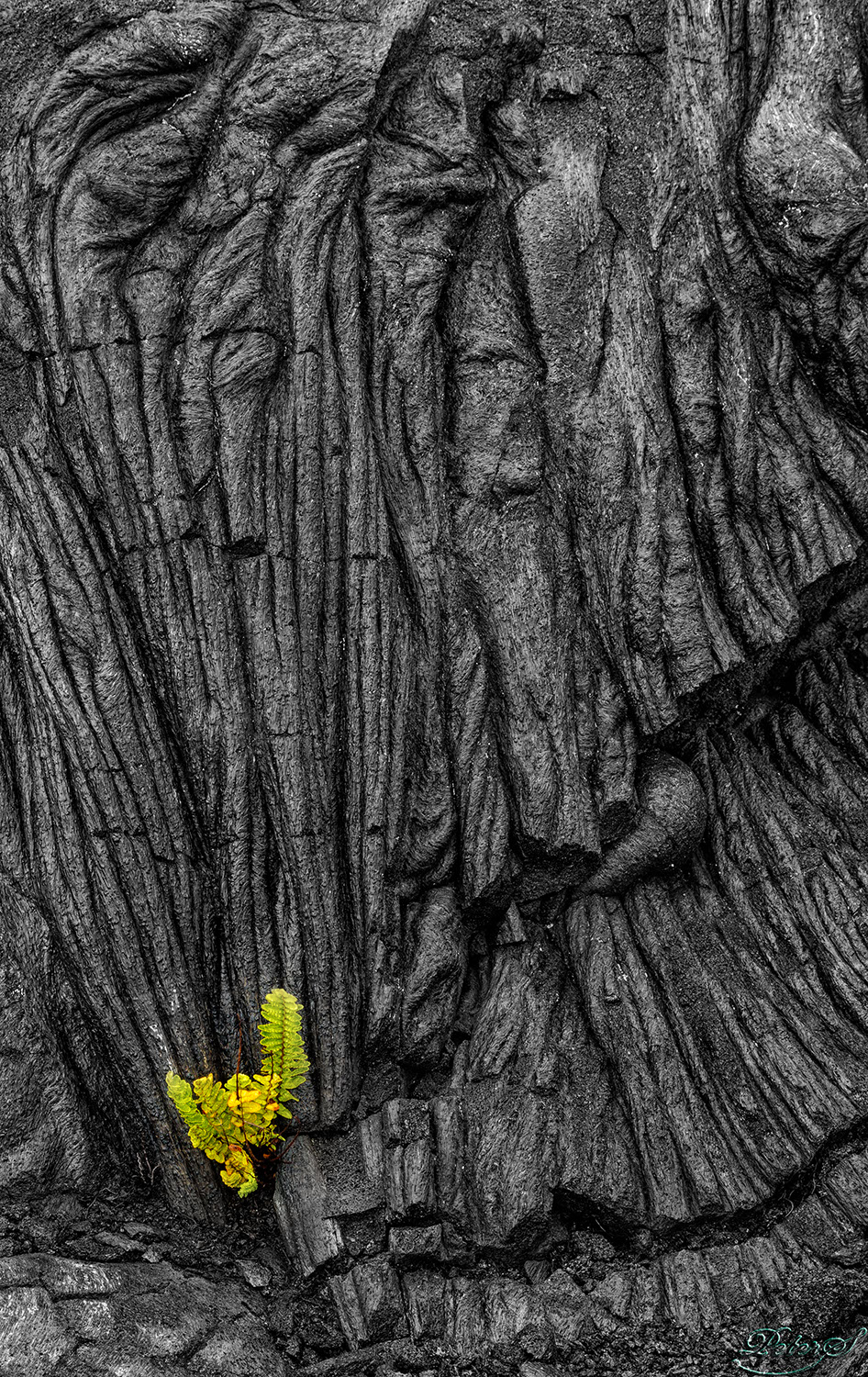 %_tempFileNameIMG_0833%