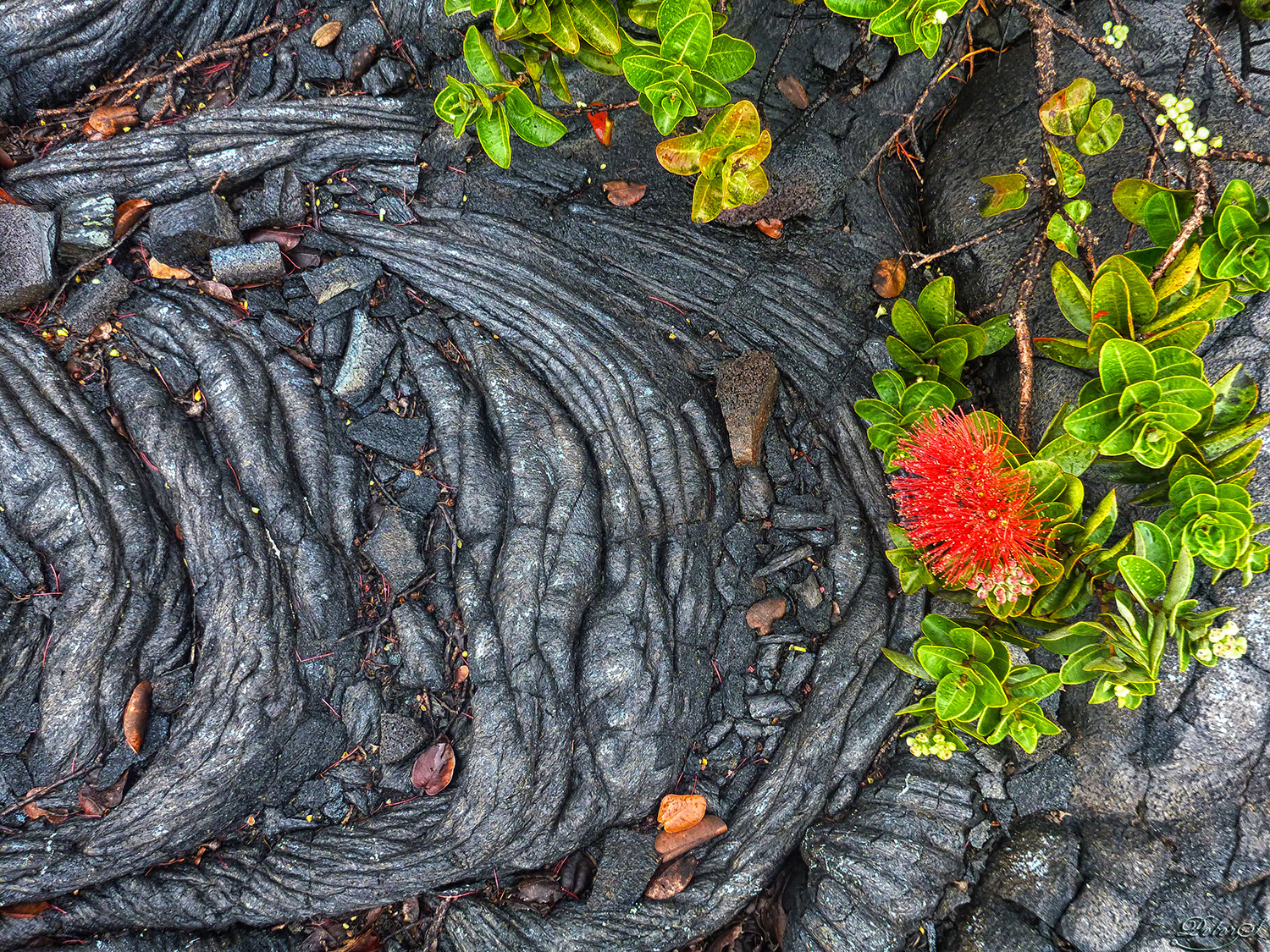 %_tempFileNameIMG_0834%