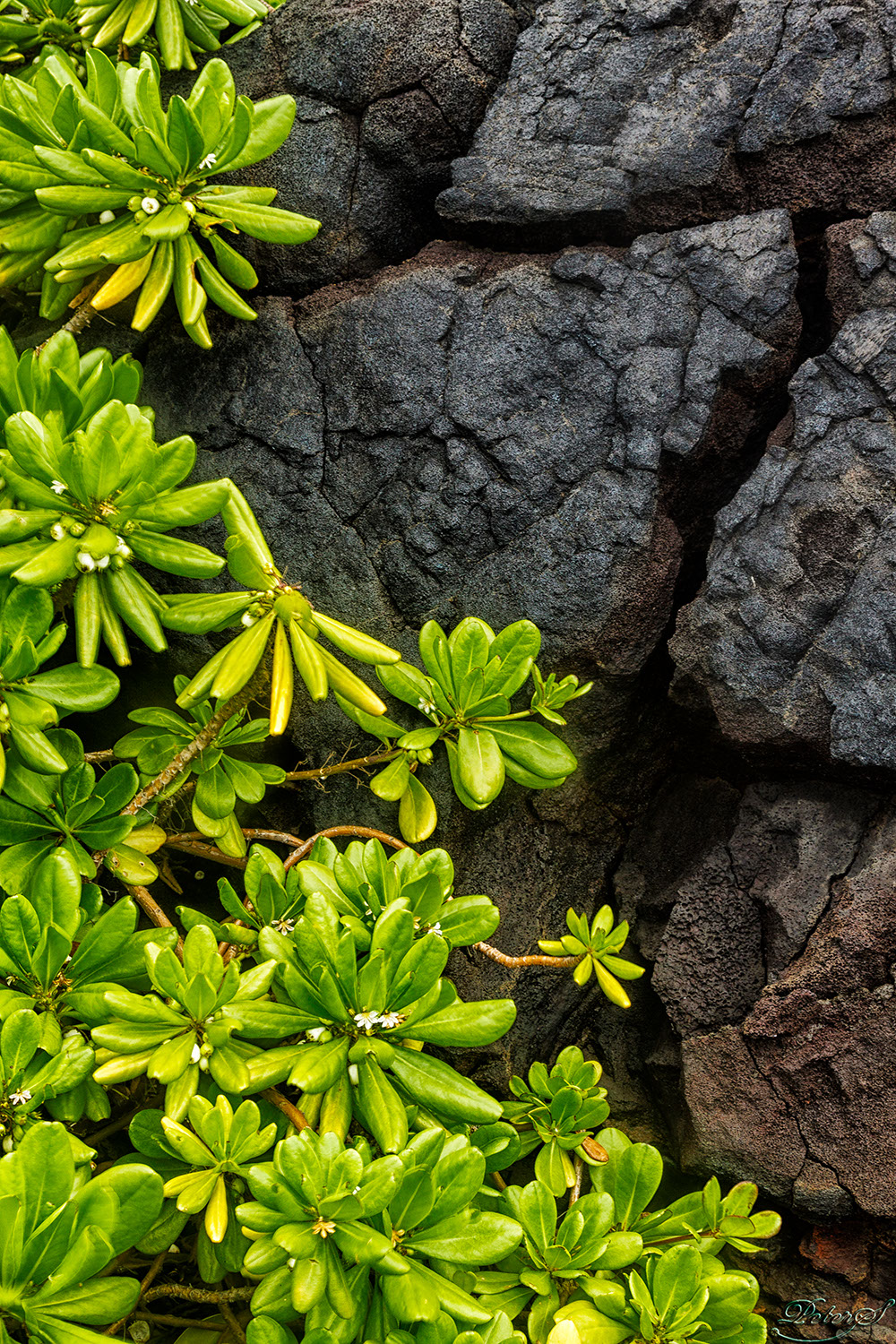 %_tempFileNameIMG_0843%