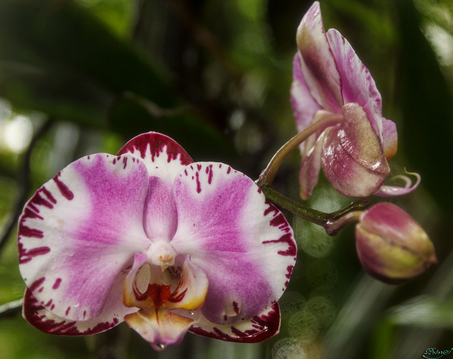 %_tempFileNameIMG_0872%