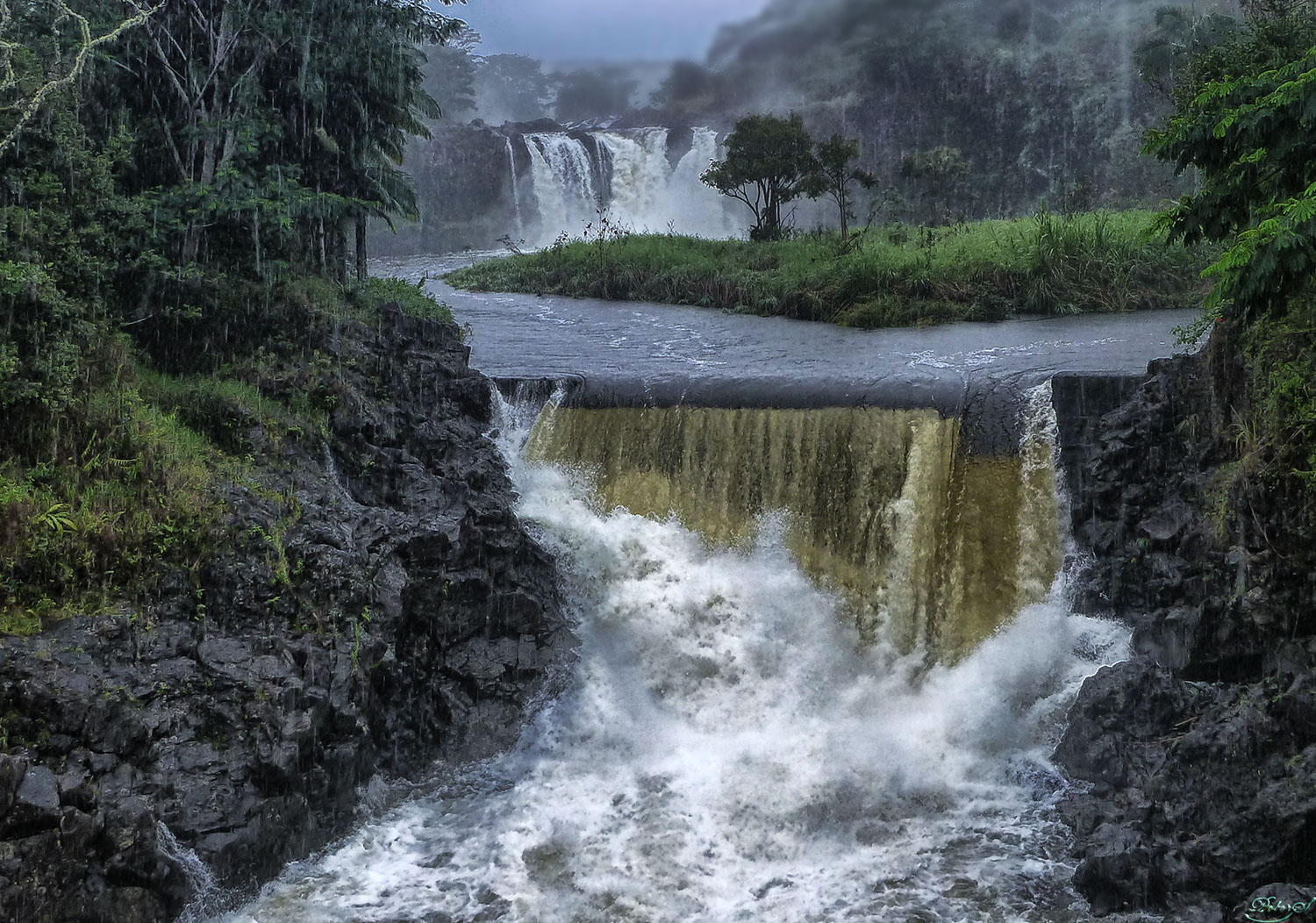 %_tempFileNameIMG_0882%