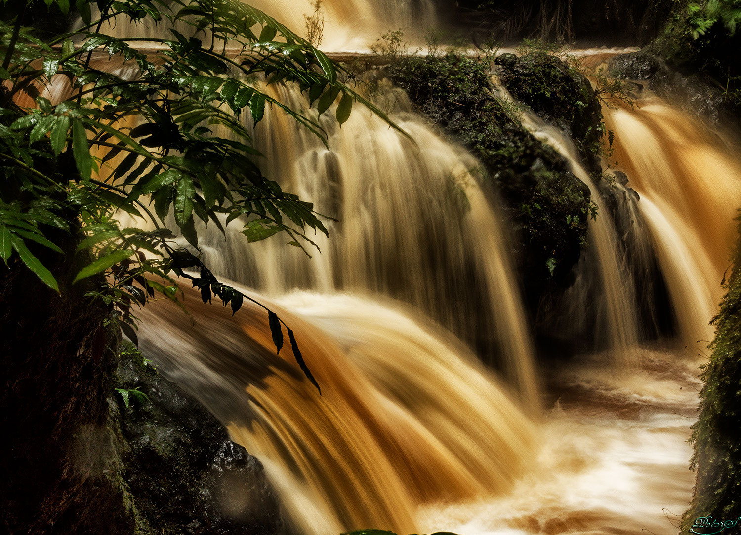 %_tempFileNameIMG_0883%