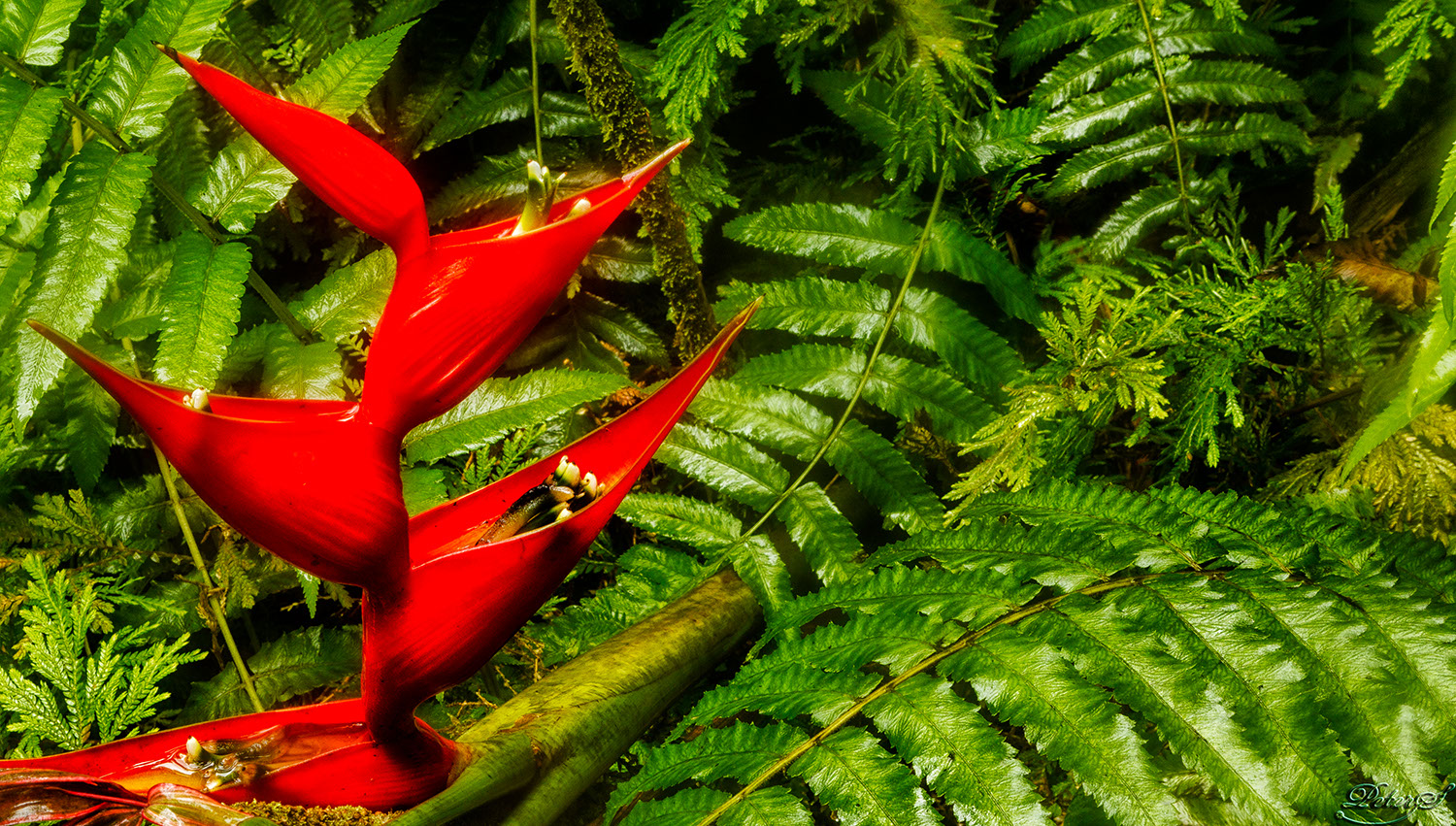 %_tempFileNameIMG_0884%