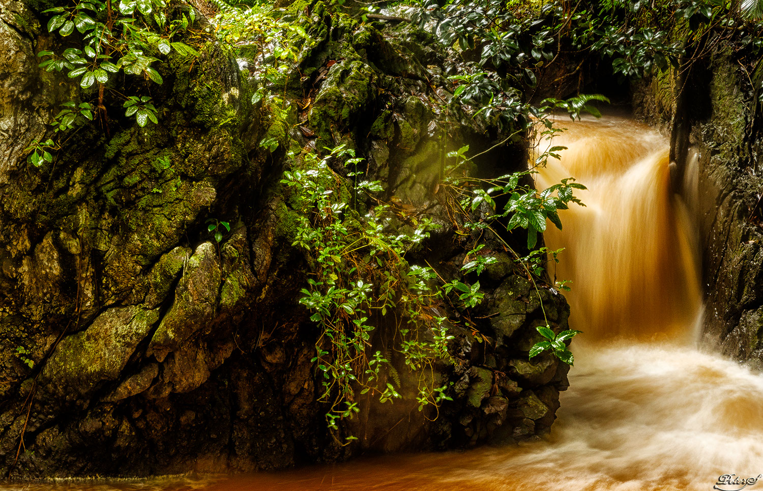 %_tempFileNameIMG_0887%