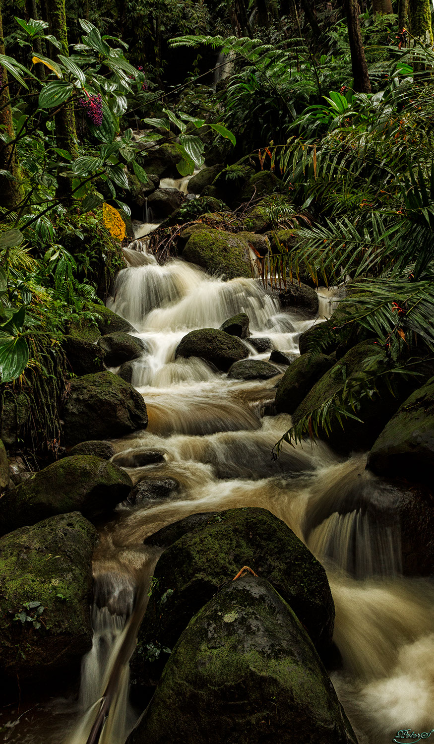 %_tempFileNameIMG_0926%