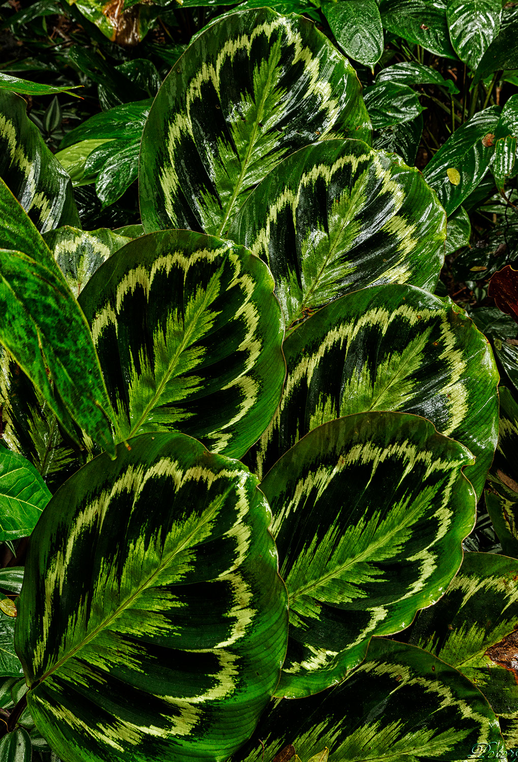 %_tempFileNameIMG_0927%