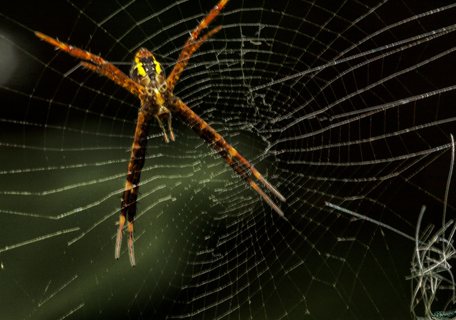 %_tempFileNameIMG_0942%