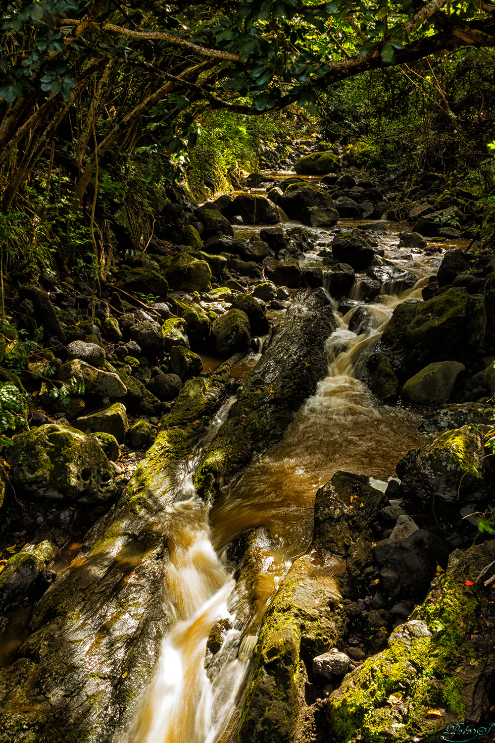 %_tempFileNameIMG_0953%