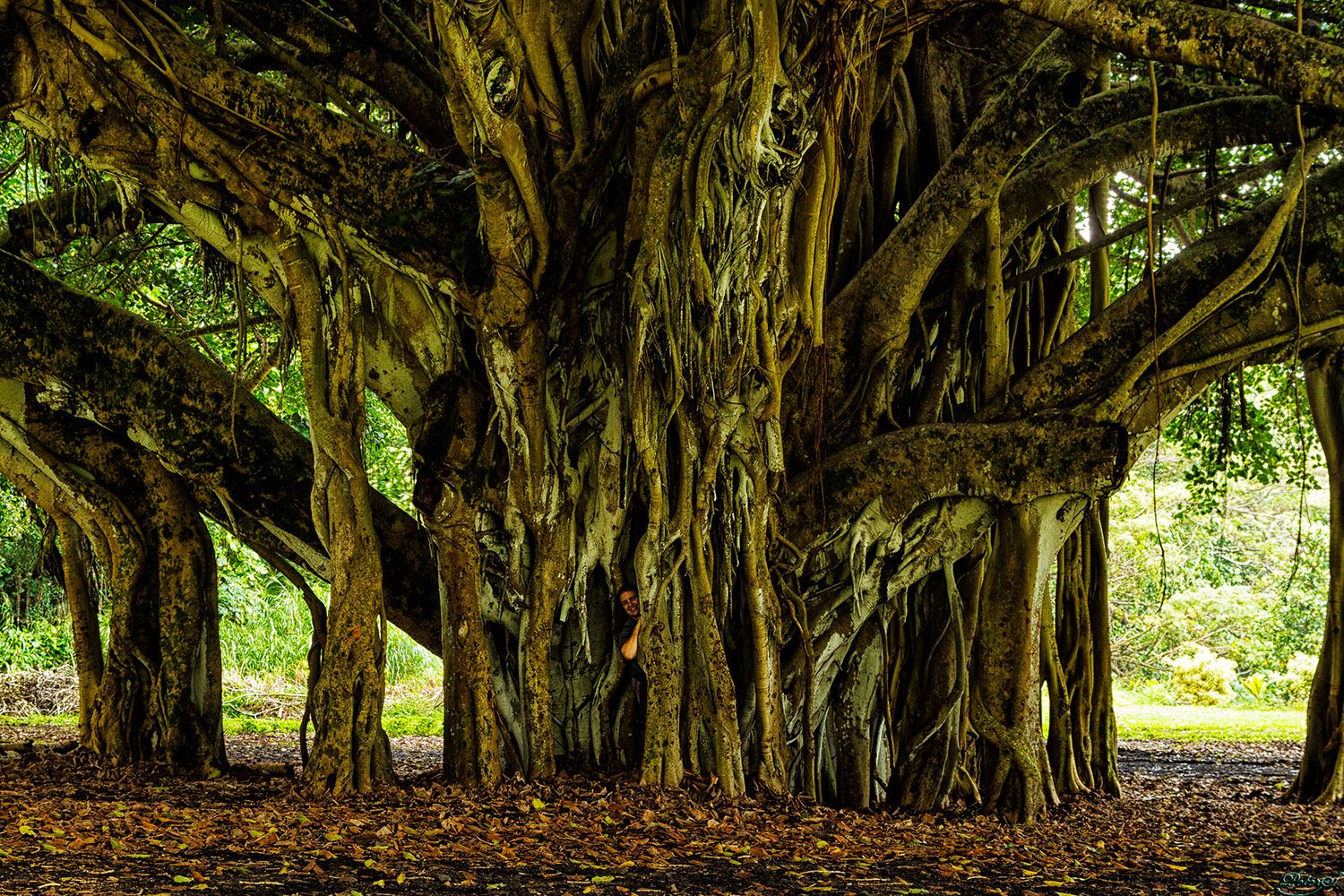 %_tempFileNameIMG_0998%