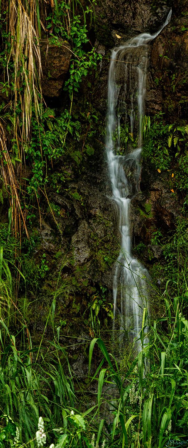 %_tempFileNameIMG_1013%