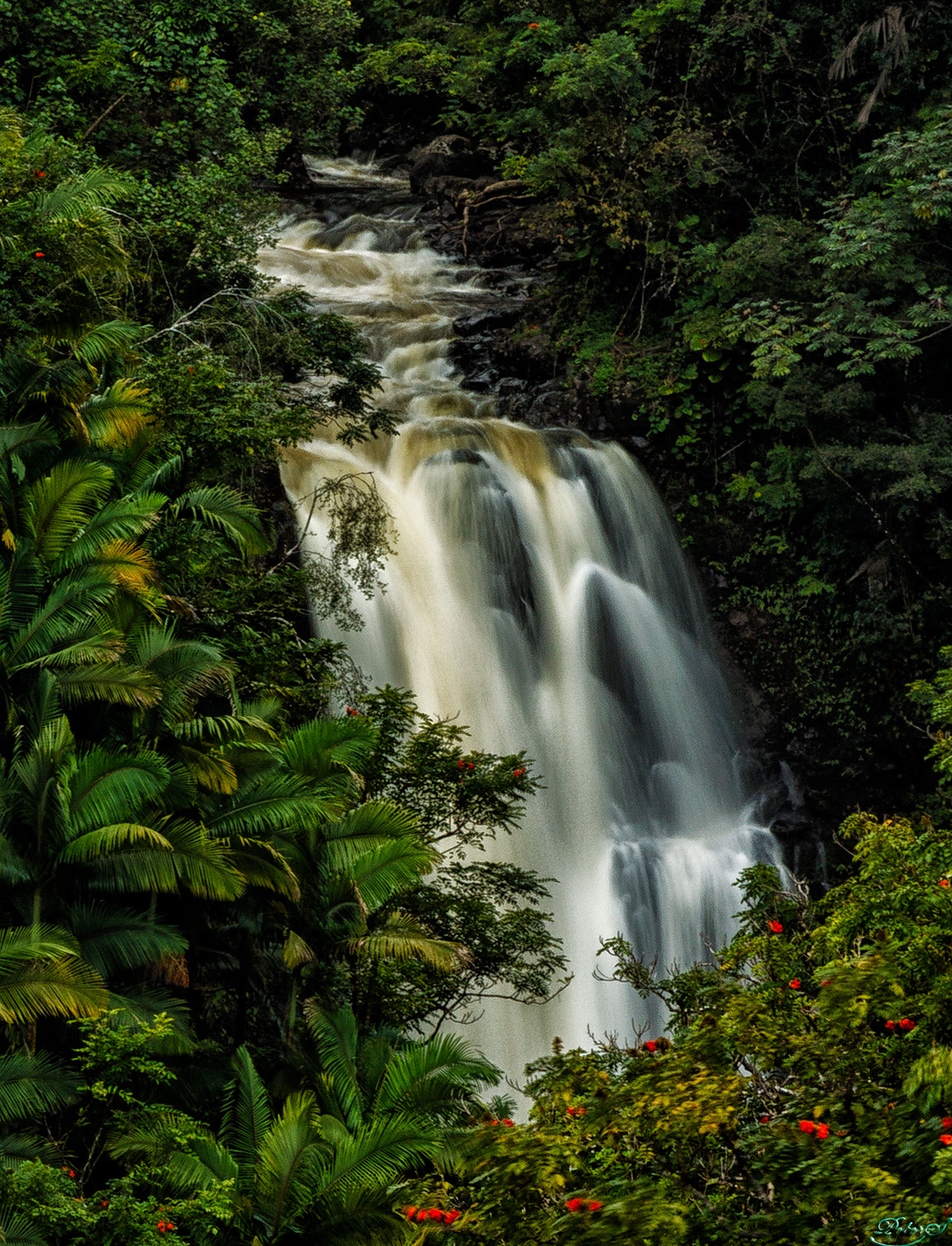 %_tempFileNameIMG_1015%