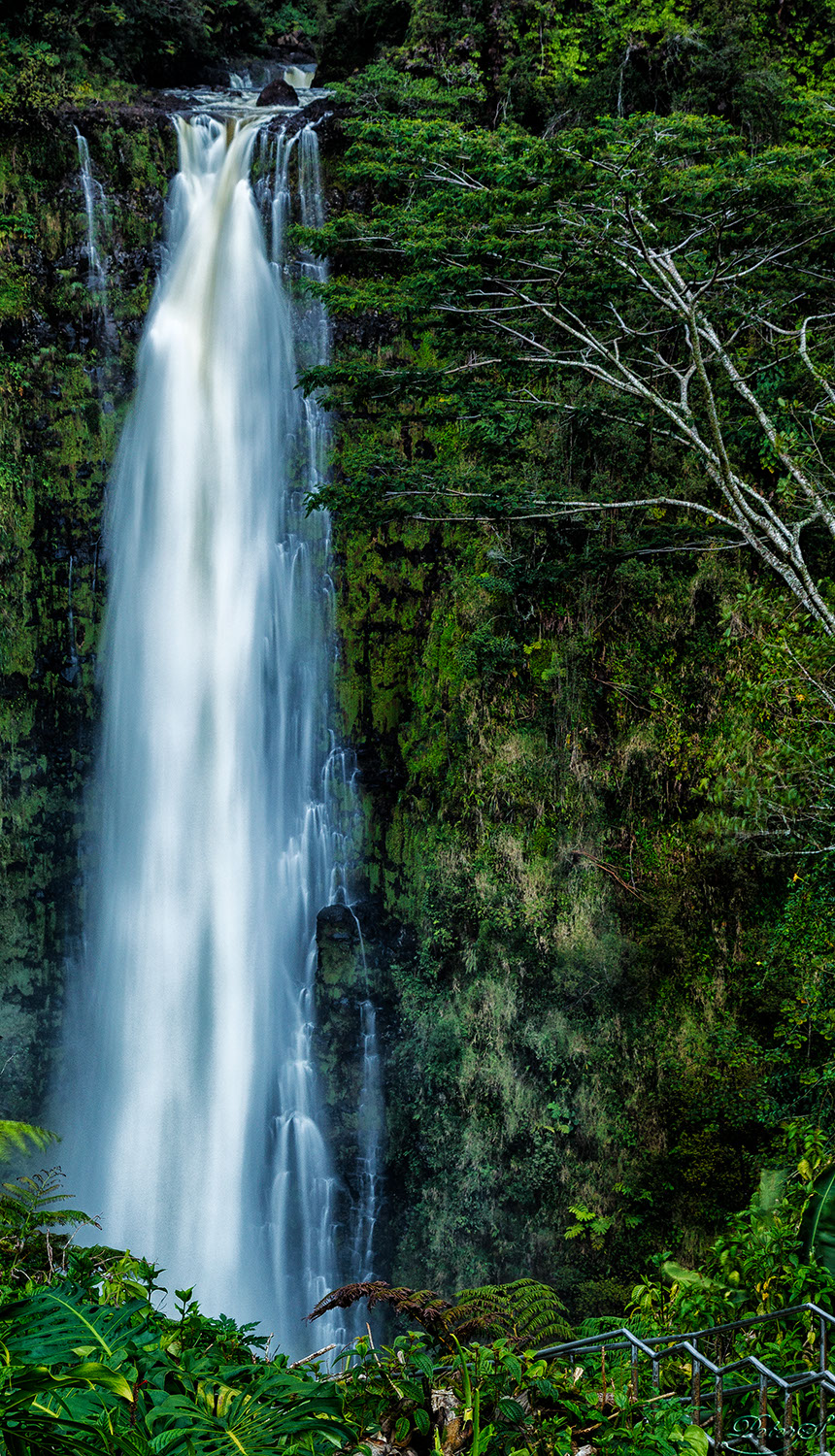 %_tempFileNameIMG_1020%