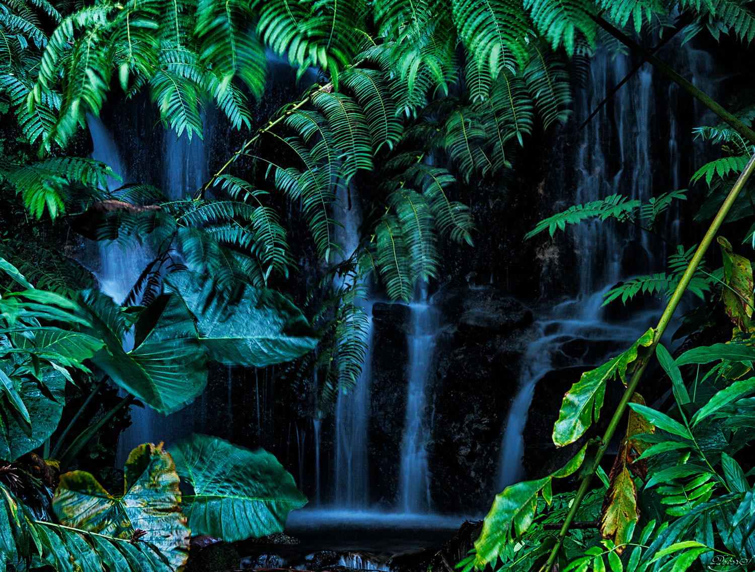 %_tempFileNameIMG_1026%