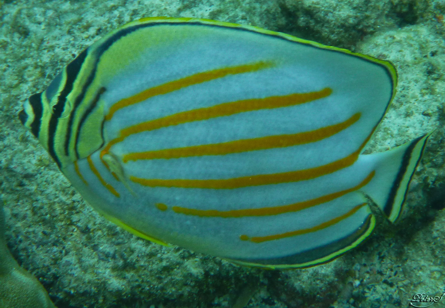 %_tempFileNameIMG_1027%