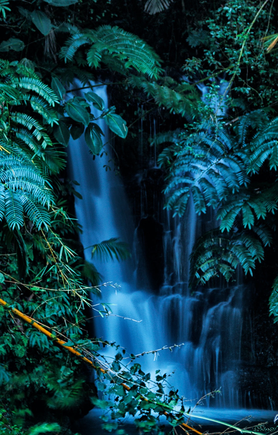 %_tempFileNameIMG_1029%