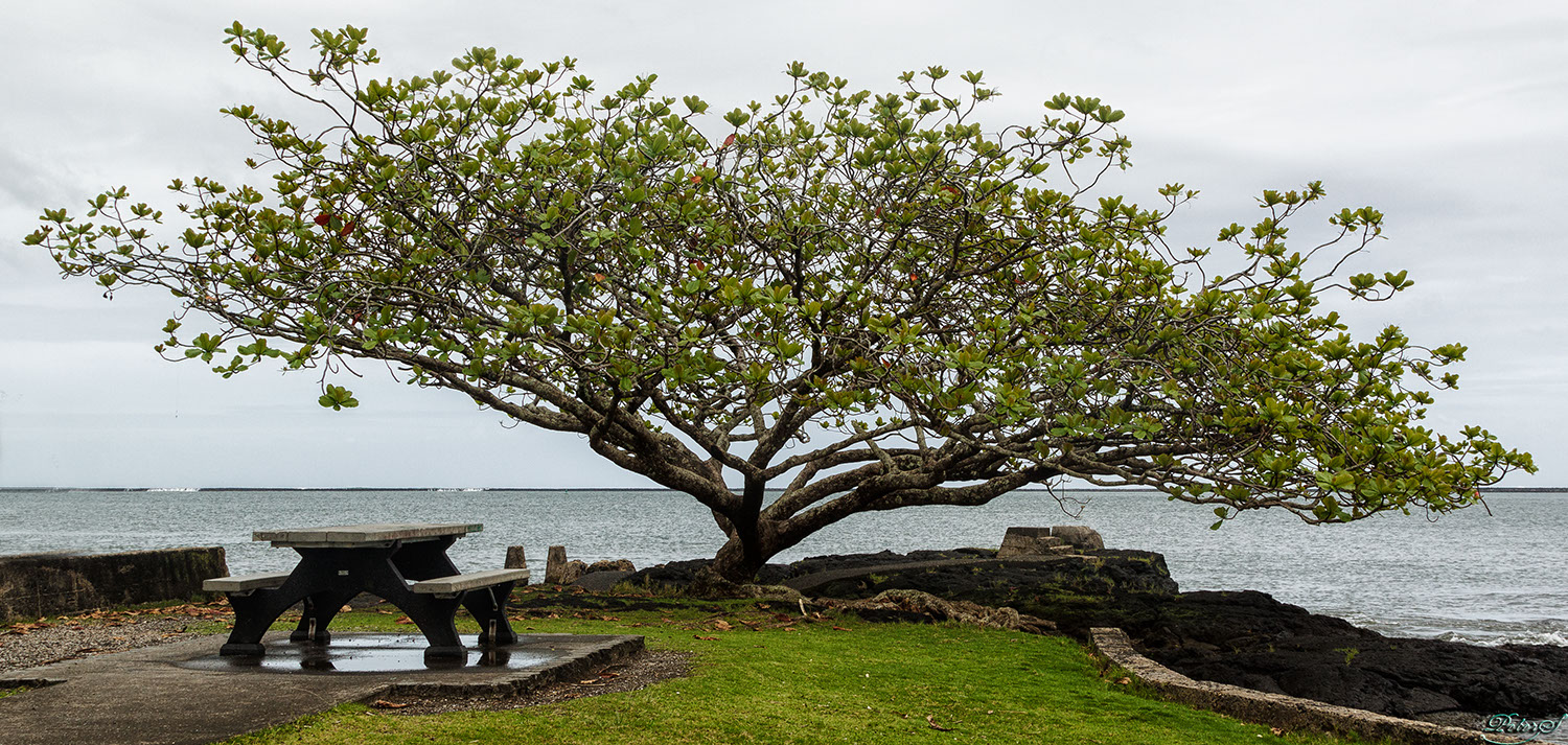 %_tempFileNameIMG_1032%