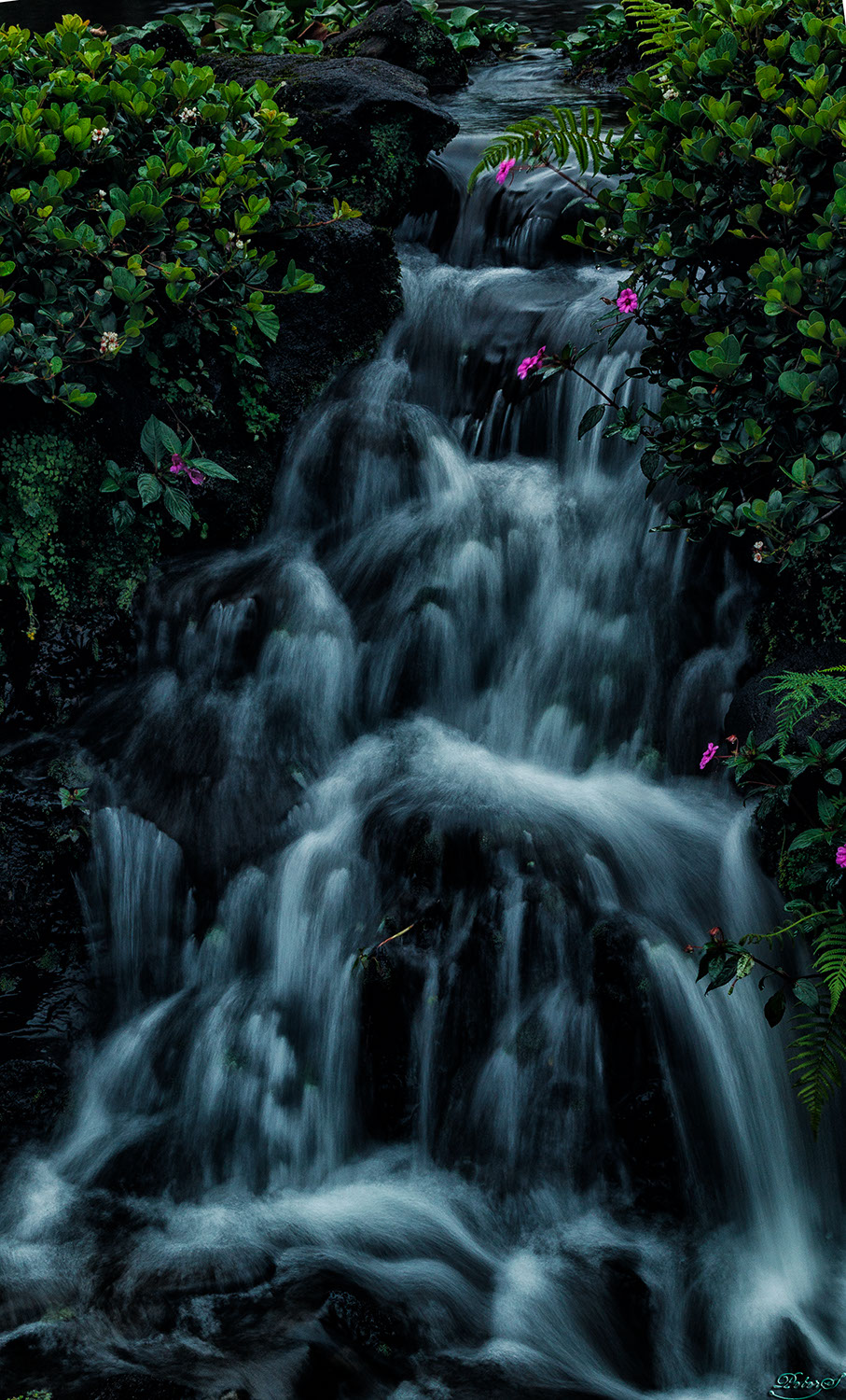 %_tempFileNameIMG_1040%