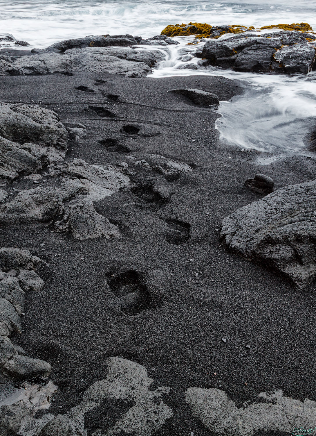 %_tempFileNameIMG_1046%