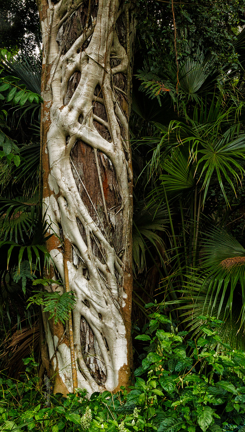 %_tempFileNameIMG_1052%