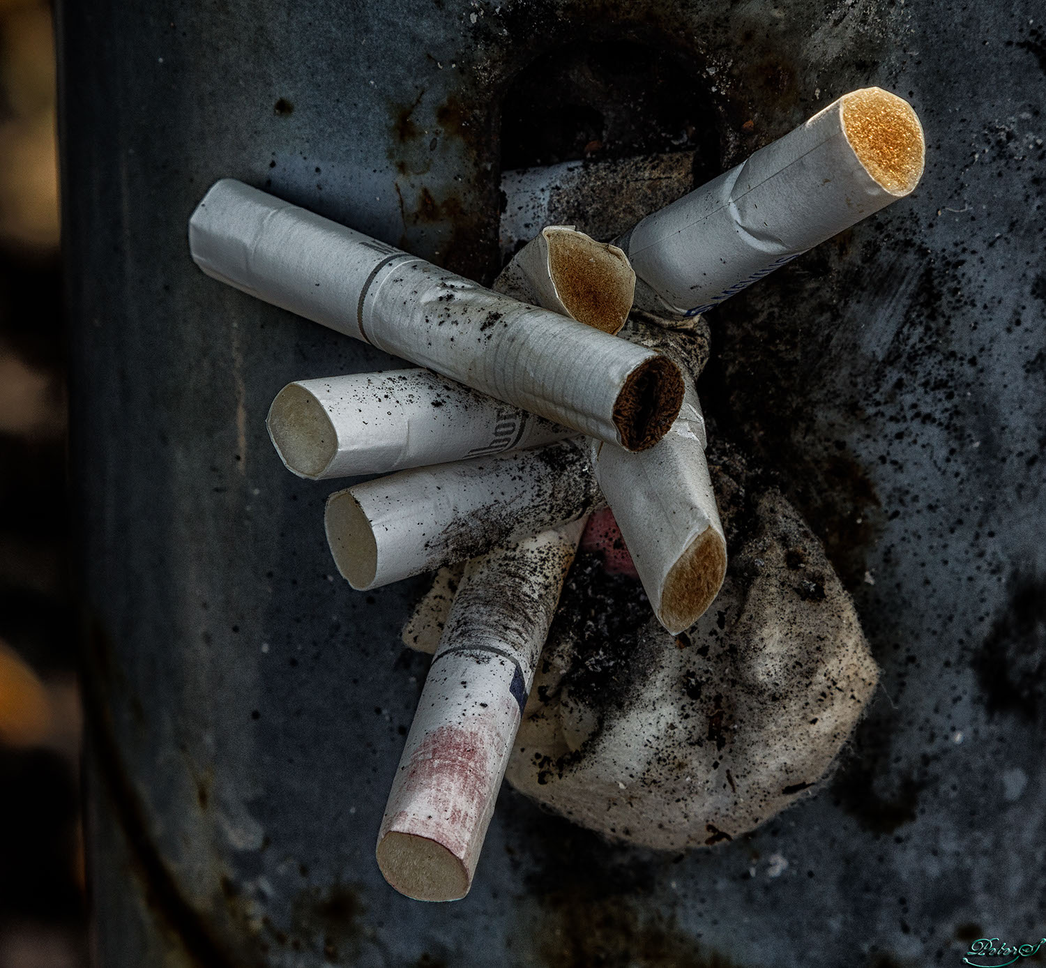 %_tempFileNameIMG_1101%