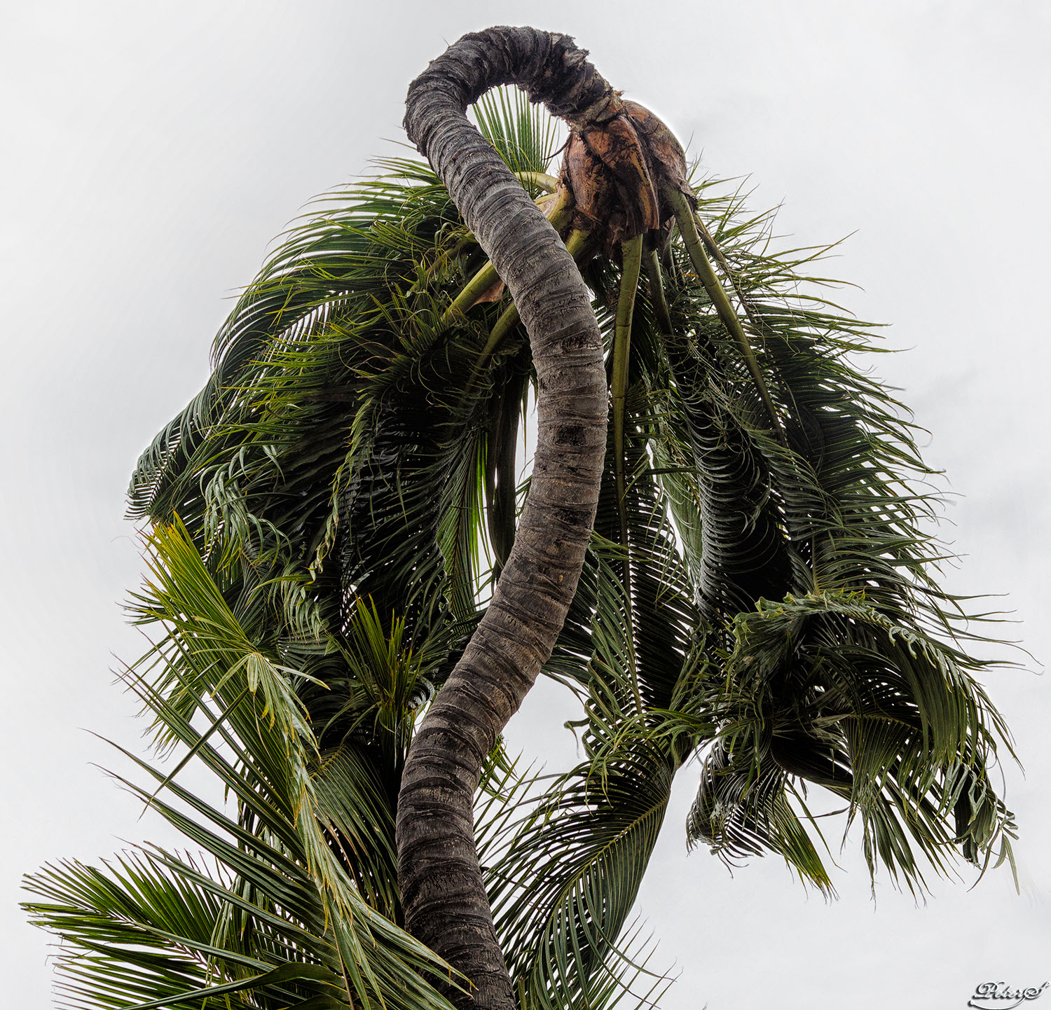 %_tempFileNameIMG_1114%