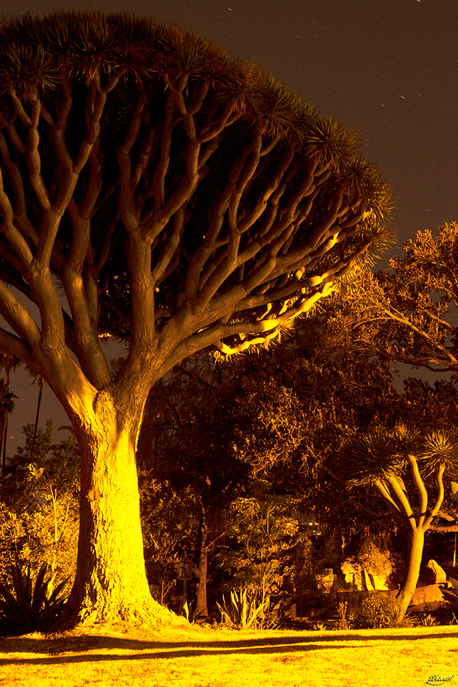 %_tempFileNameIMG_0044%