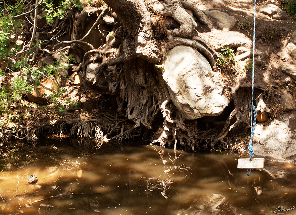 %_tempFileNameIMG_0081%