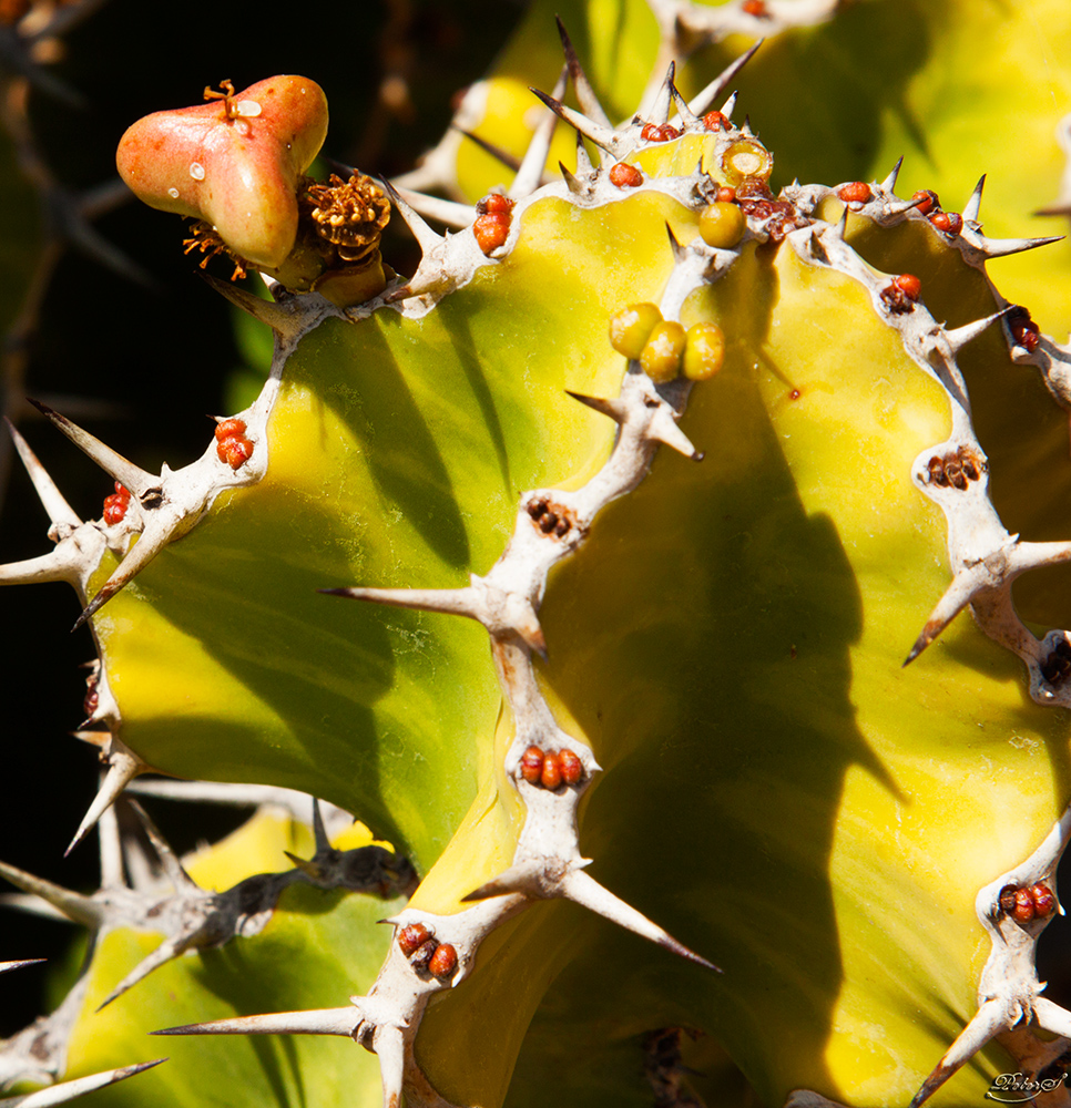 %_tempFileNameIMG_0084%