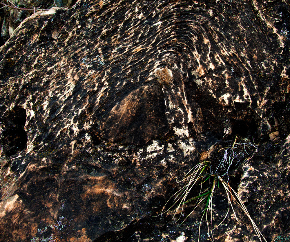 %_tempFileNameIMG_1780%