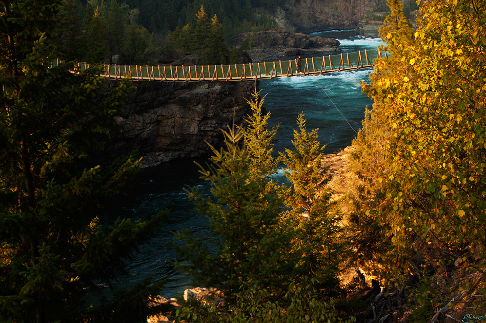 %_tempFileNameIMG_1783%